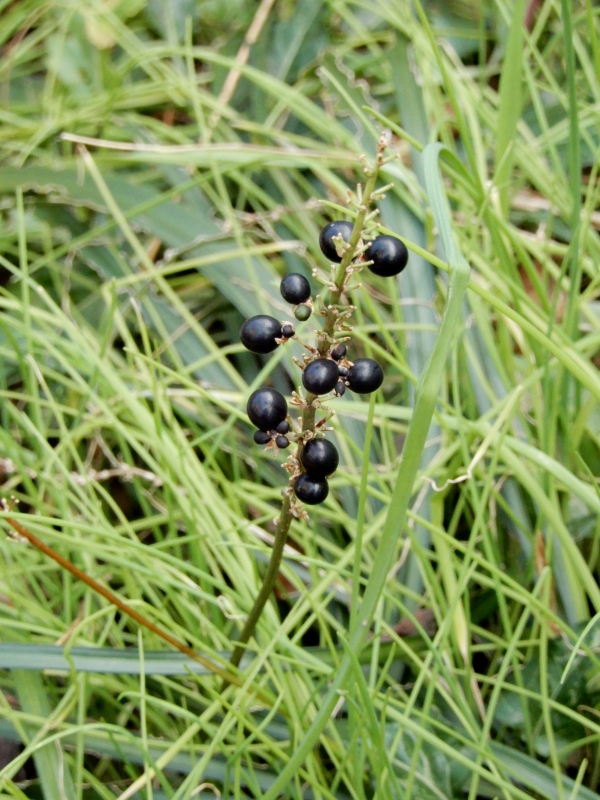 e0025300_2133679.jpg