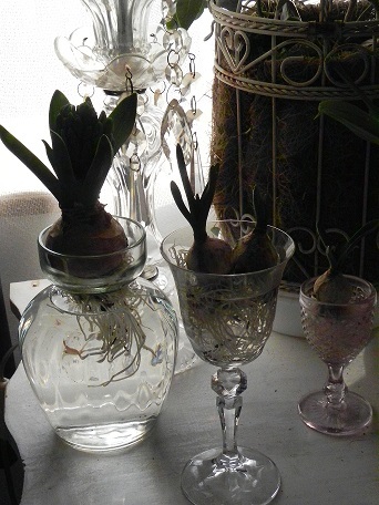 c0152002_18210832.jpg