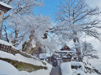 雪景色の境内_c0336902_14474922.jpg