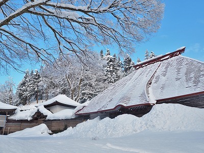 雪景色の境内_c0336902_14480897.jpg