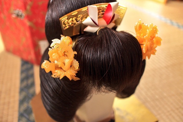 かつらが我が家にやってきた : 嫁に行くとは言ってない！