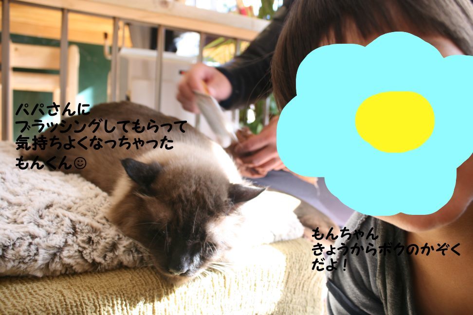もんくん 新生活スタート!_f0242002_00205856.jpg
