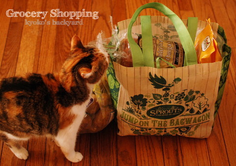 新規開店のSproutsでお買い物_b0253205_03515280.jpg