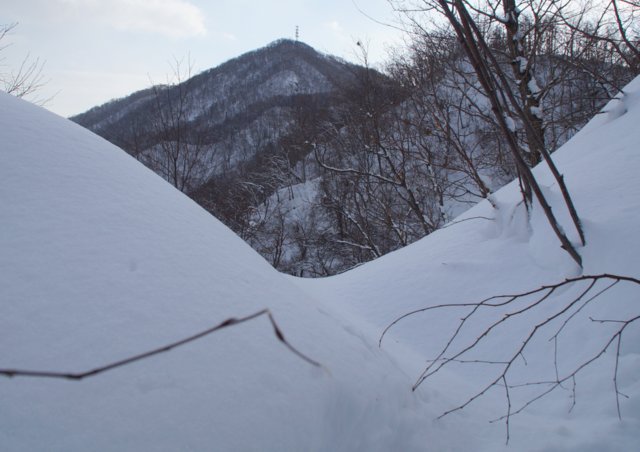 2017年１月26日（木）　藻岩山 (標高531m)　旭山公園コース_a0345007_17472872.jpg