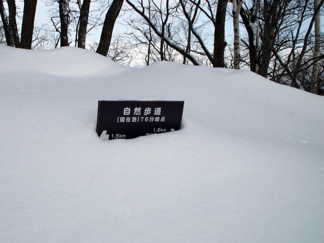 a0345007_17481648.jpg