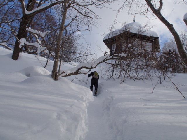 2017年１月26日（木）　藻岩山 (標高531m)　旭山公園コース_a0345007_174923100.jpg