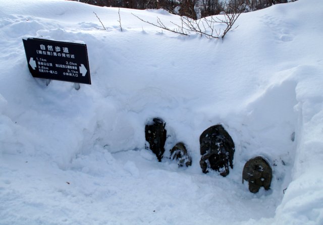 2017年１月26日（木）　藻岩山 (標高531m)　旭山公園コース_a0345007_1752342.jpg