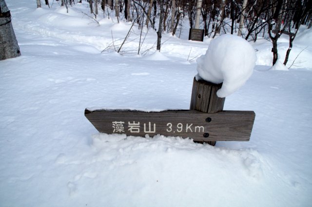 2017年１月26日（木）　藻岩山 (標高531m)　旭山公園コース_a0345007_1753999.jpg