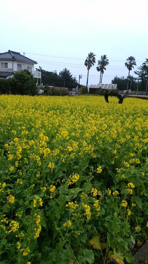 わかば、初めてのお泊り旅行！前編_f0039907_12333934.jpg