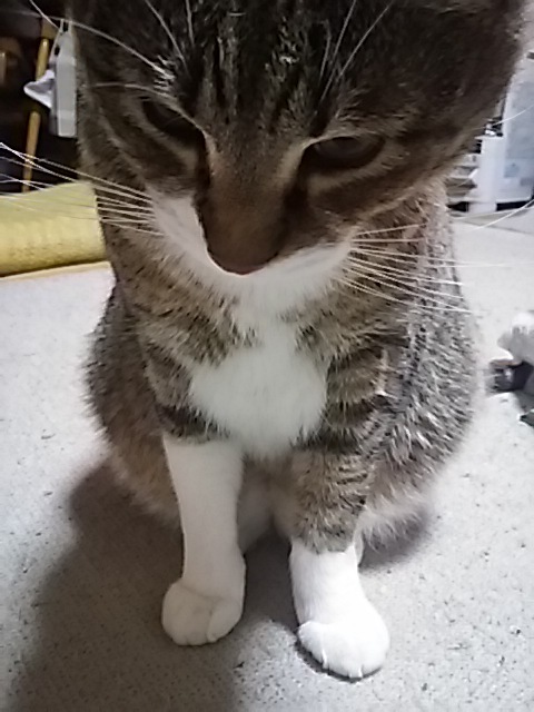 まったりとぼんやり_f0316507_14232008.jpg