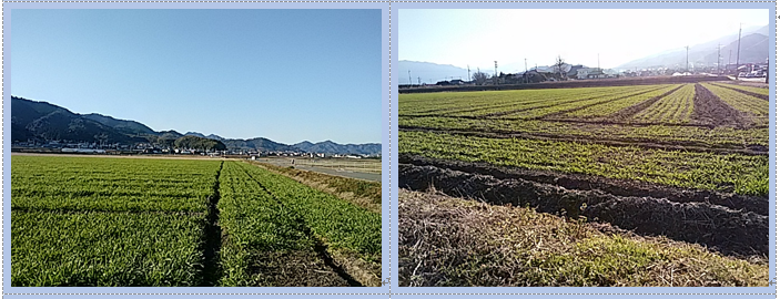 f0231709_1724160.png