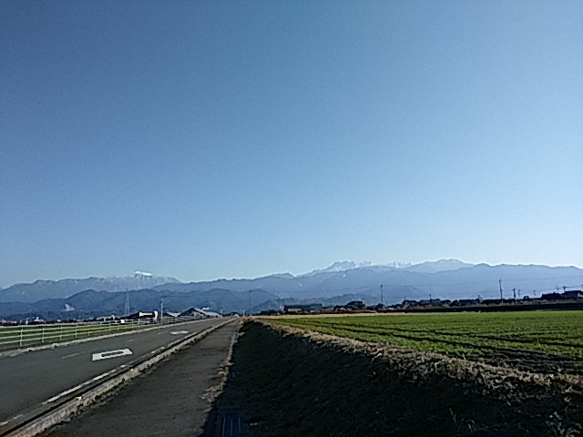 f0231709_1754483.jpg