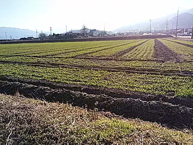 f0231709_1771045.jpg