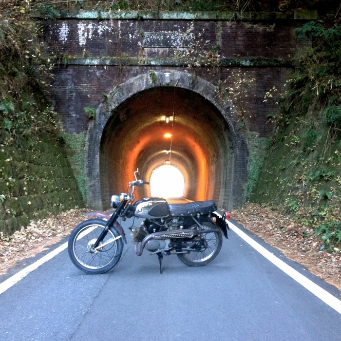 Discovered  a vintage  tunnel_d0179518_15534433.jpg