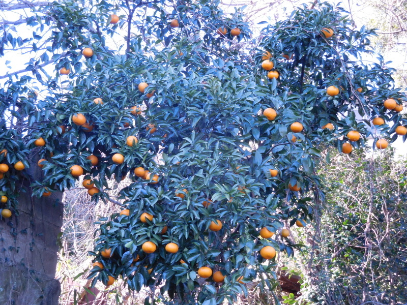 a0125419_06001496.jpg