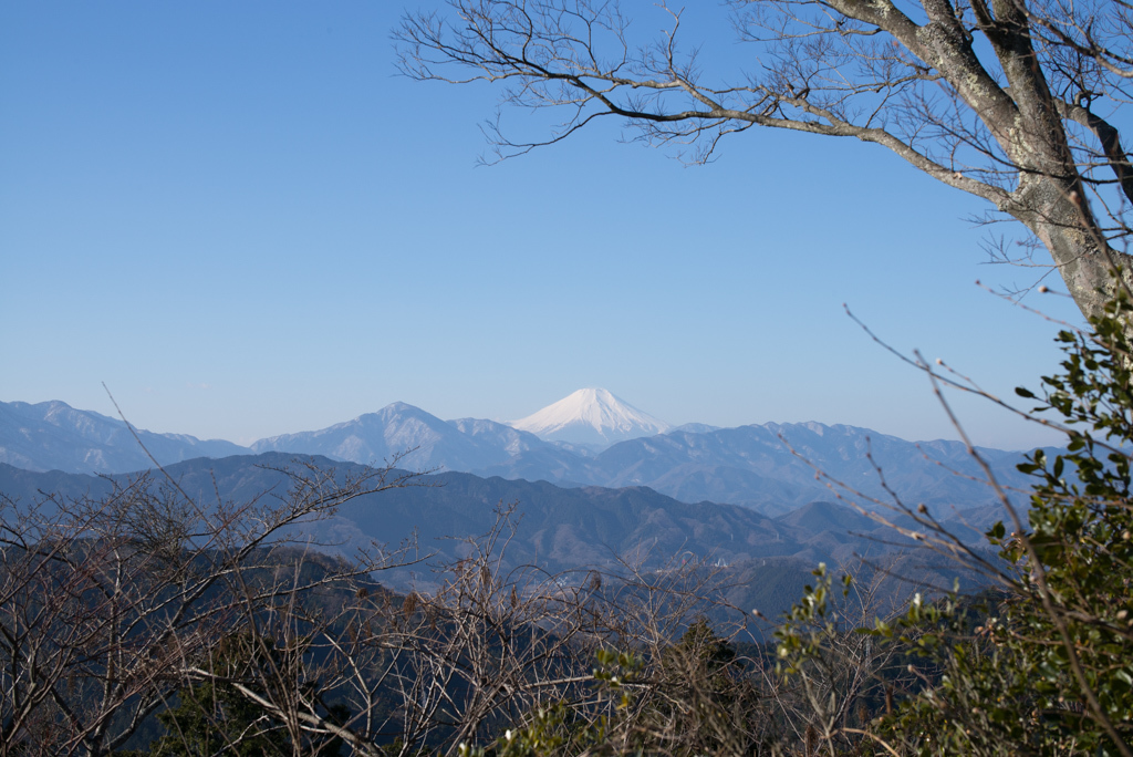 高尾山　2017年01月22日（日）_d0161322_23041241.jpg