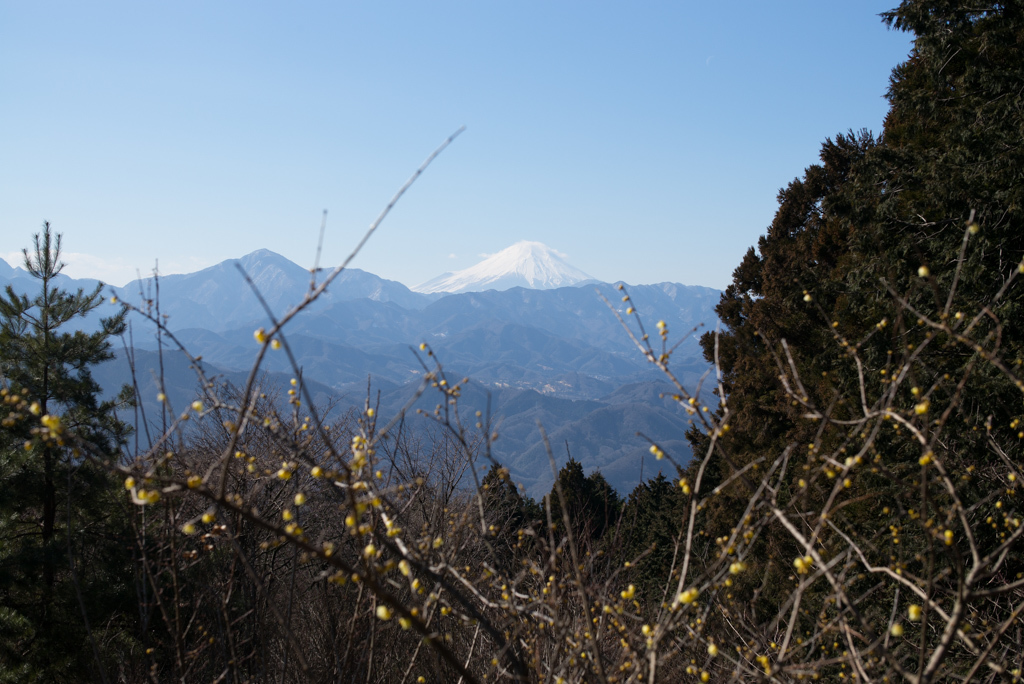 高尾山　2017年01月22日（日）_d0161322_23042738.jpg