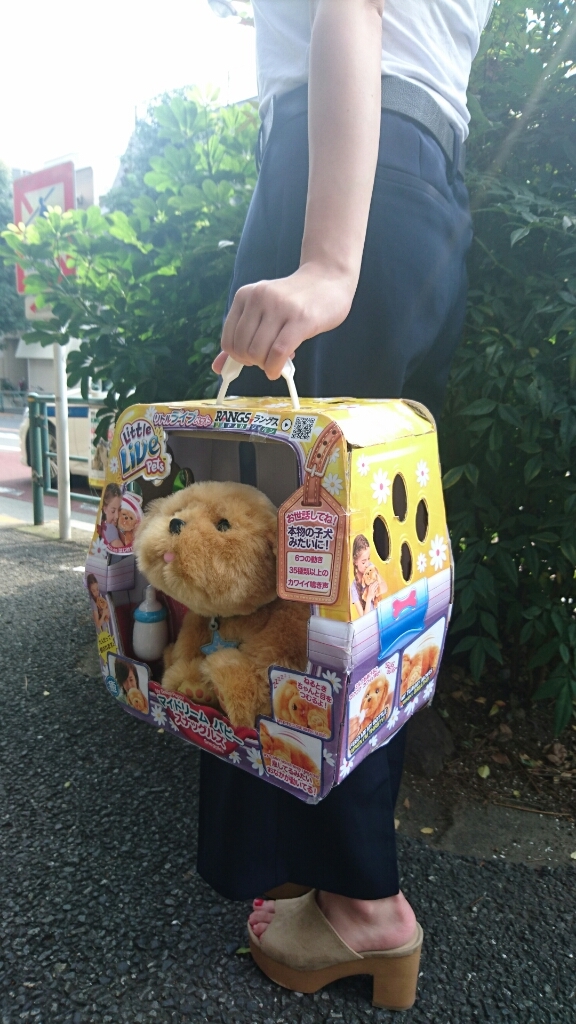 マイドリームパピー入荷予定(トイザらス、ラングス予約受付中)_d0148223_20081848.jpg