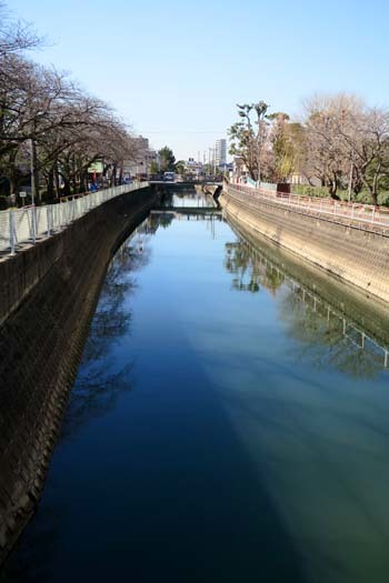 f0147025_20365700.jpg