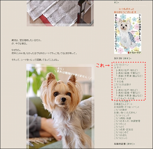 d0179828_15231985.png
