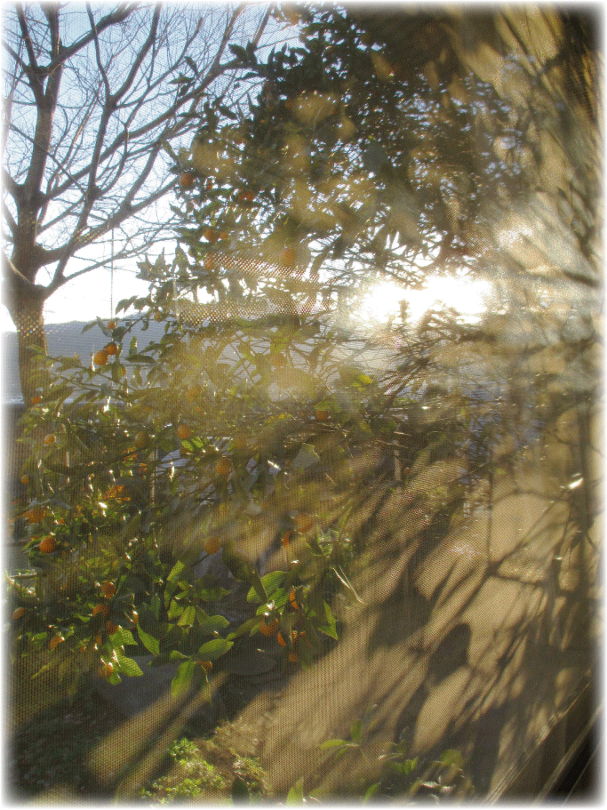 c0107829_23050363.gif