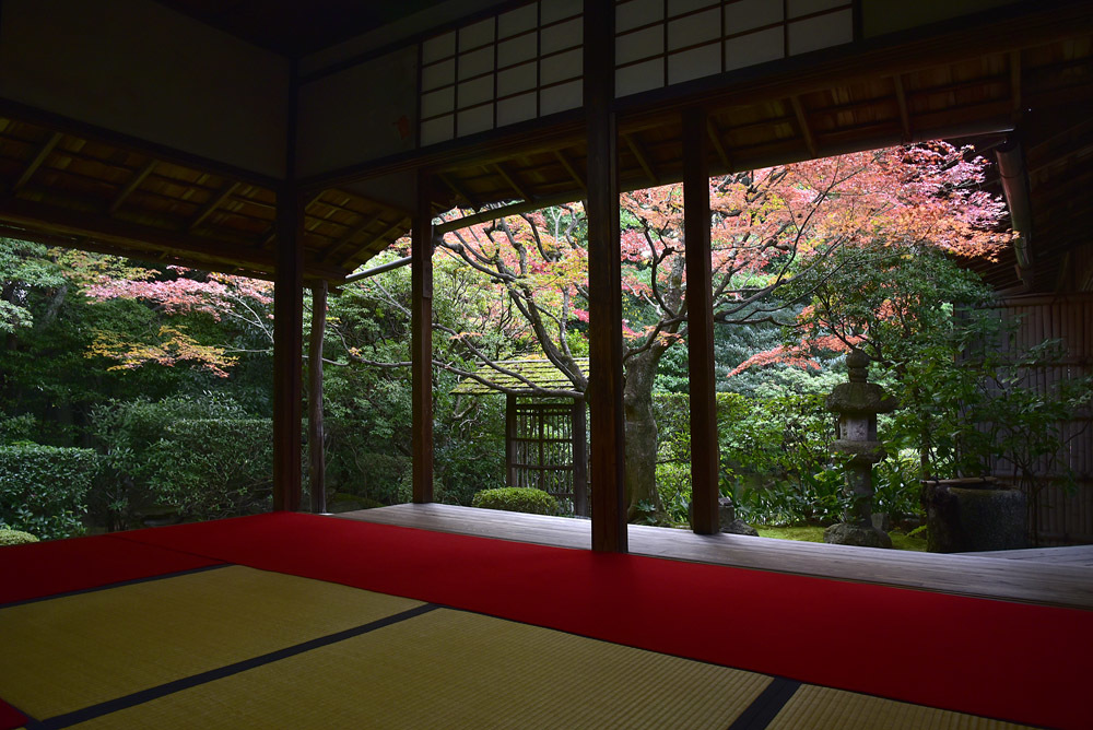 京都一日目（旅行・お出かけ部門）_e0367330_17355512.jpg