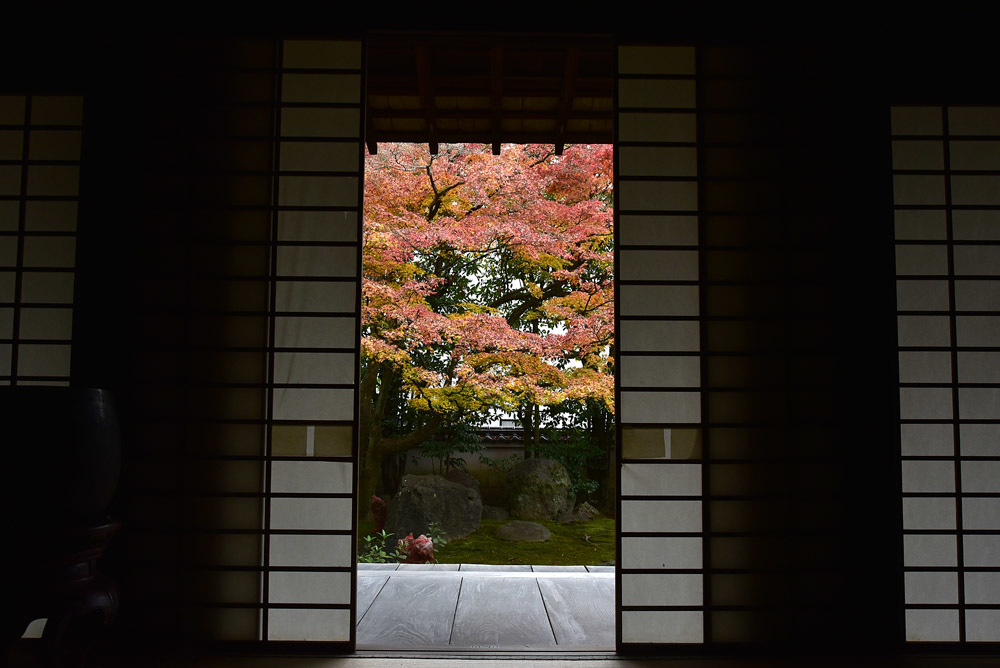 京都一日目（旅行・お出かけ部門）_e0367330_17410708.jpg