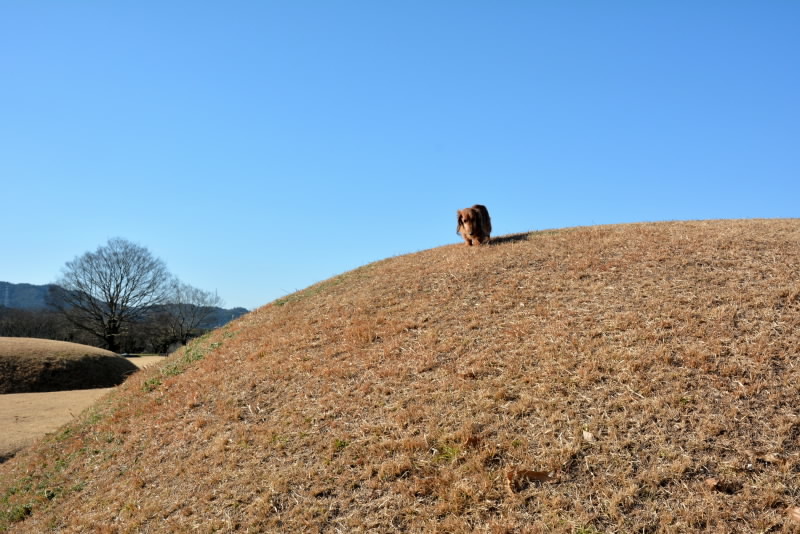 塚原古墳公園へ。_e0056537_21211367.jpg