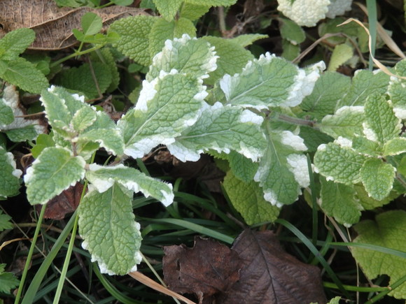 a0054240_21132346.jpg
