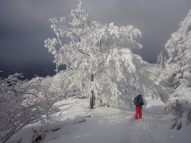 大雪の英彦山_e0164643_10294860.jpg