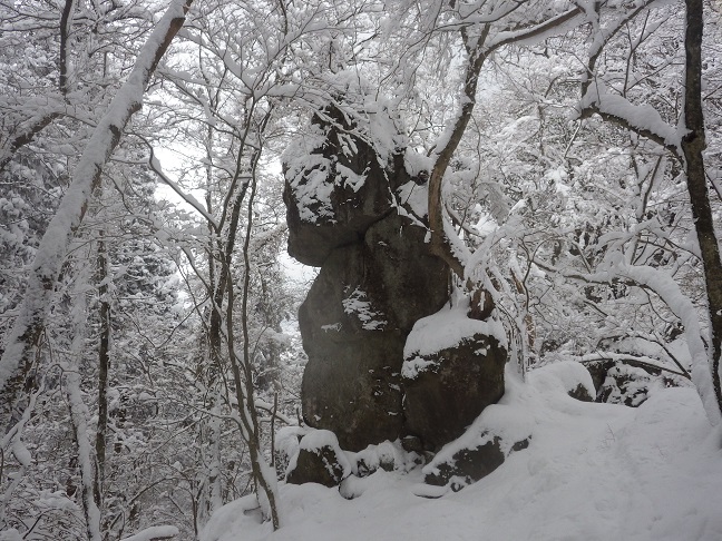 大雪の英彦山_e0164643_1111294.jpg