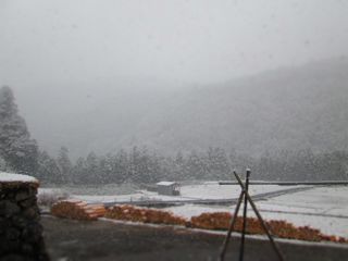 a0054948_8443545.jpg