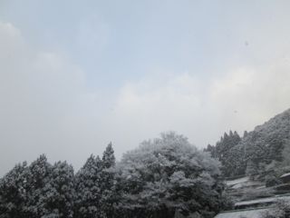 a0054948_8444570.jpg