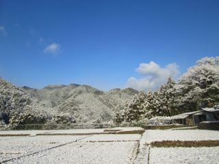 a0054948_8444969.jpg