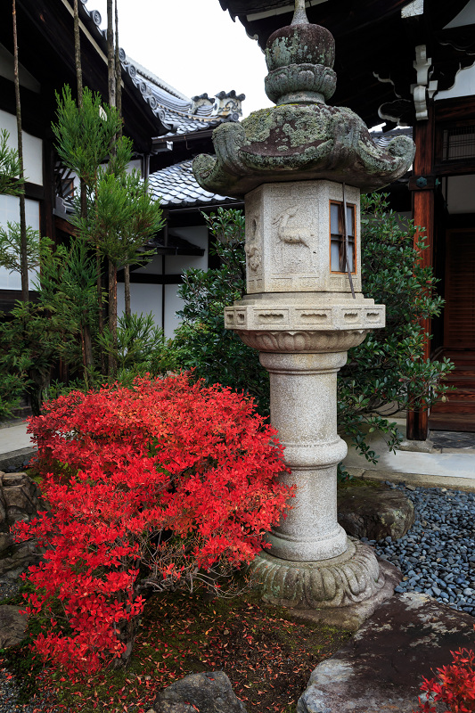 京都の紅葉2016 妙顕寺の晩秋光景_f0155048_055657.jpg