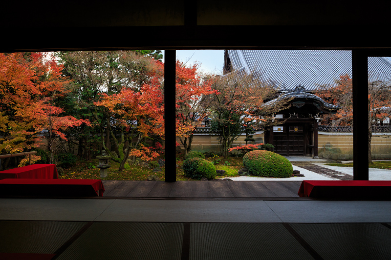 京都の紅葉2016 妙顕寺の晩秋光景_f0155048_065433.jpg