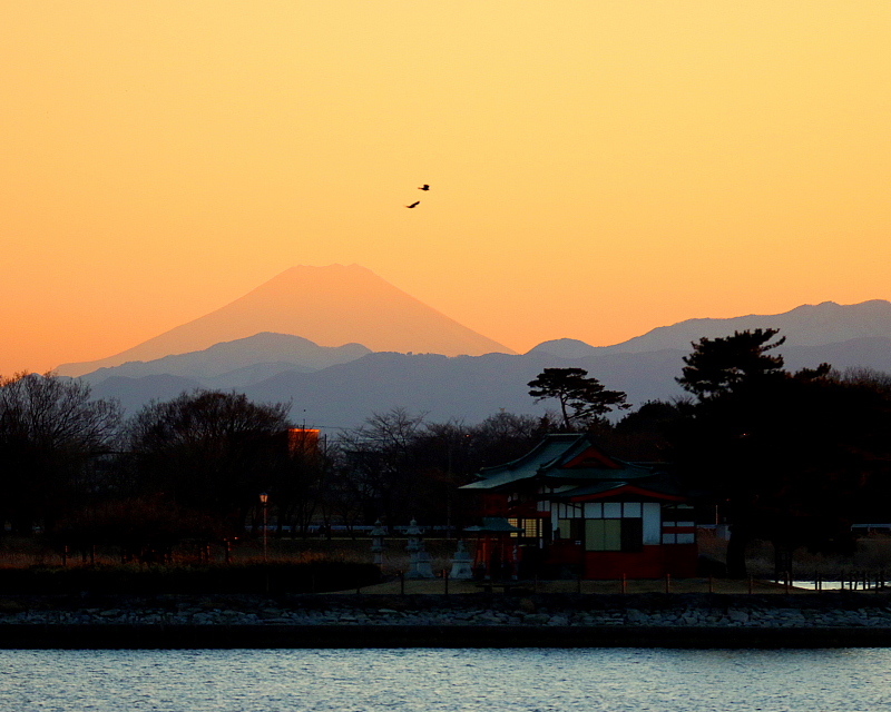 　　　多々良沼で、夕景富士_c0305565_17573309.jpg