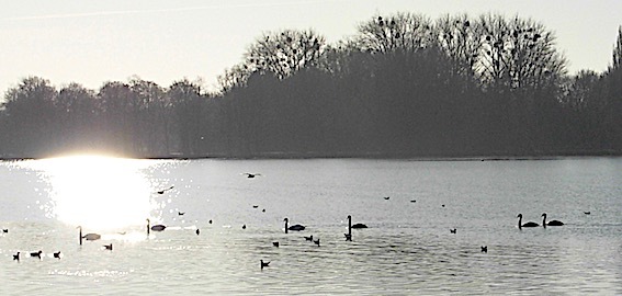 e0357367_20185430.jpg