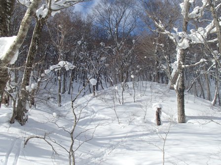 2017.1.26　半日で楽しむ北泉ヶ岳東尾根_a0344771_20081989.jpg