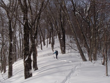 2017.1.26　半日で楽しむ北泉ヶ岳東尾根_a0344771_20111253.jpg