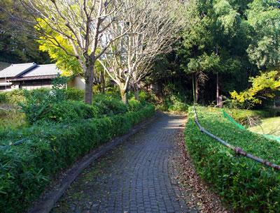 b0123486_10365158.jpg