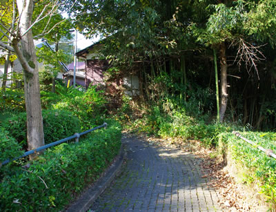 b0123486_10402962.jpg