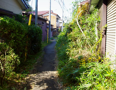 b0123486_10462984.jpg