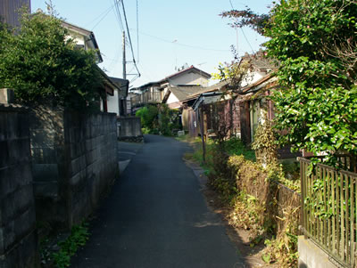 b0123486_10513474.jpg