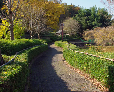 b0123486_1054836.jpg