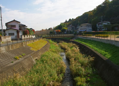 b0123486_11392277.jpg