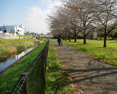 b0123486_9483442.jpg