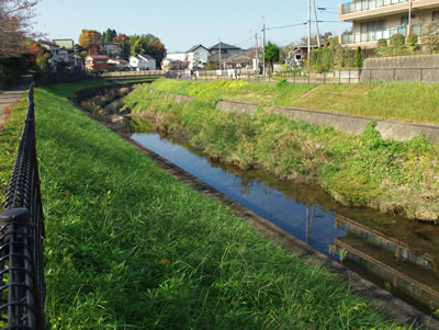 b0123486_952421.jpg