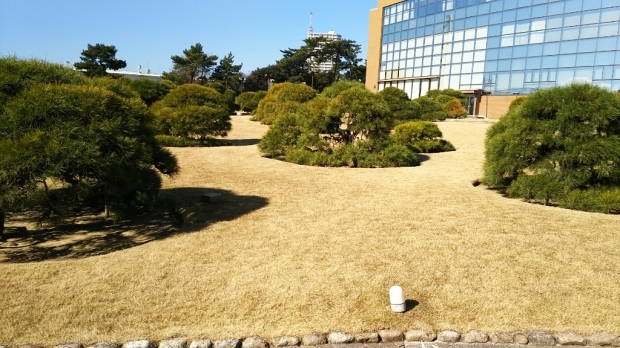 c0109891_17165041.jpg