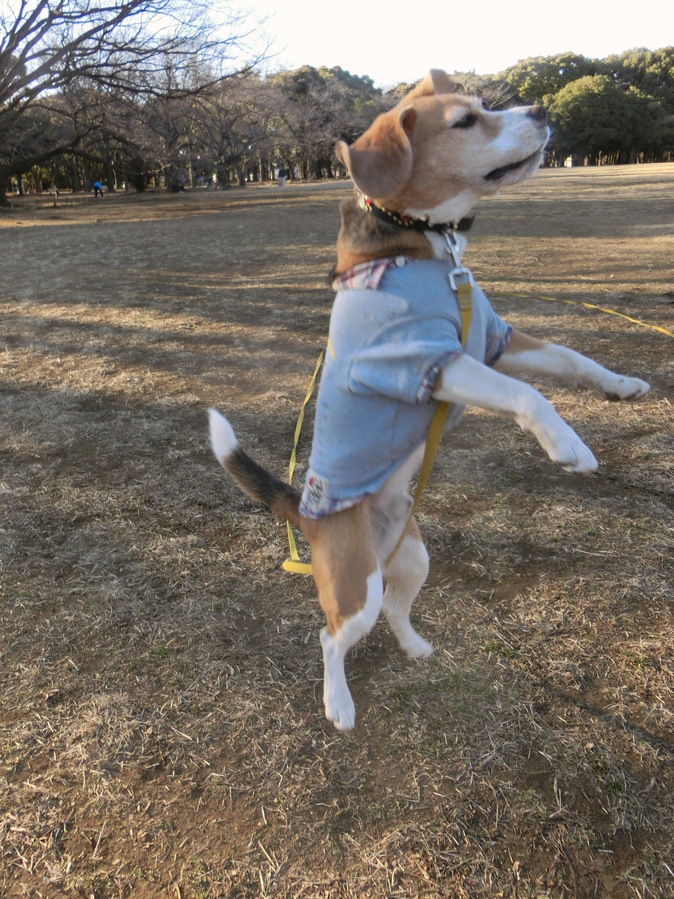 a0319693_7434610.jpg